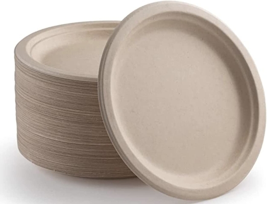 Biodegradable Kraft Paper Plate Disposable Sustainable Microwave Safe