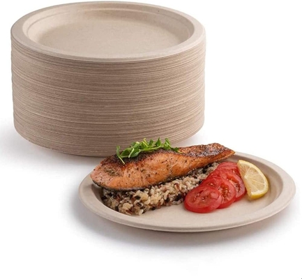 Biodegradable Bagasse Disposable Plates For Birthday Wedding Picnic
